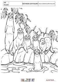 Su-Samuru boyama sayfaları